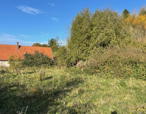 Enchère Immo : Longère à rénover à proximité de Dieppe