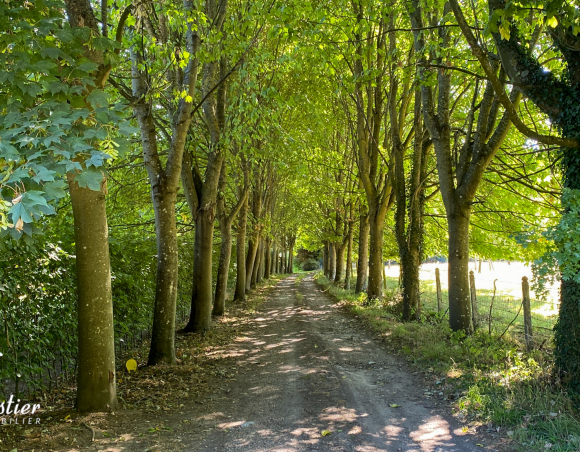 Manoir Napoléon III – Parc avec arbres séculaires – Prairies & dépendances
