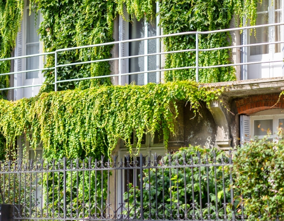 Spacieuse maison bourgeoise à vendre centre ville de Dieppe