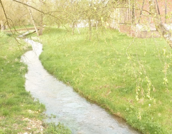 Vendu Manoir XVIème Gentilhommière avec dépendance  Chevaux en Normandie 4606
