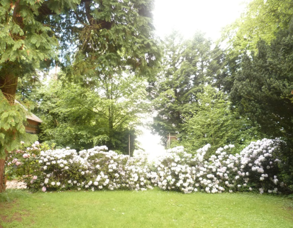 Vendu Propriété de caractère  2 hectares Vallée de Seine