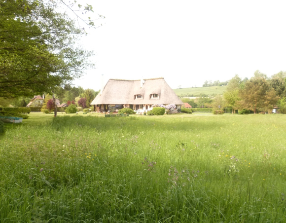 Vendu Chaumière de caractère proche Eu 76 Normandie 4707