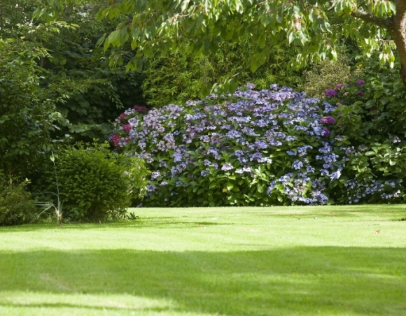 VENDU Maison normande Veules les Roses Normandie