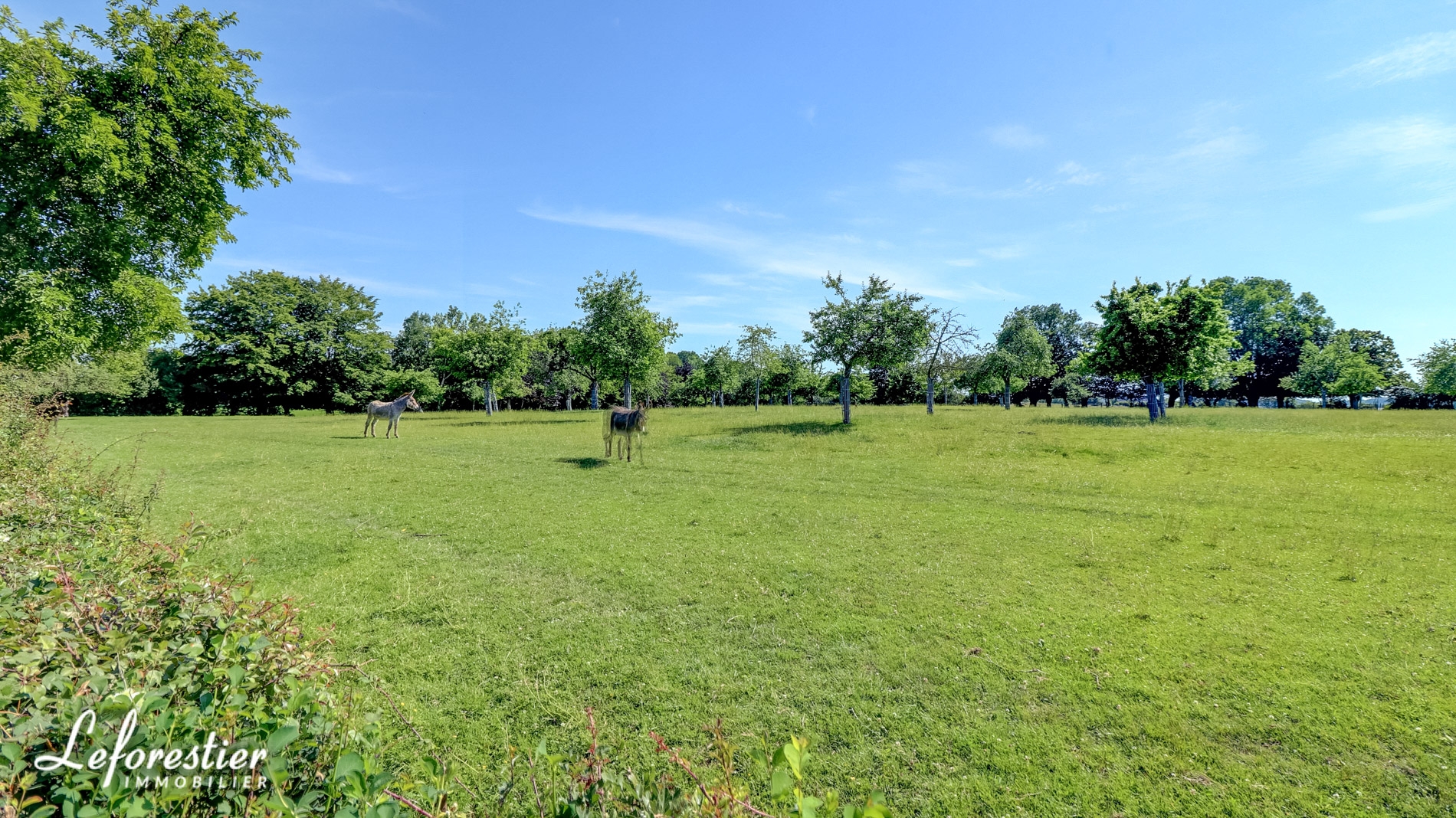 Demeure de caractère à vendre en Normandie - Neufchâtel en Bray