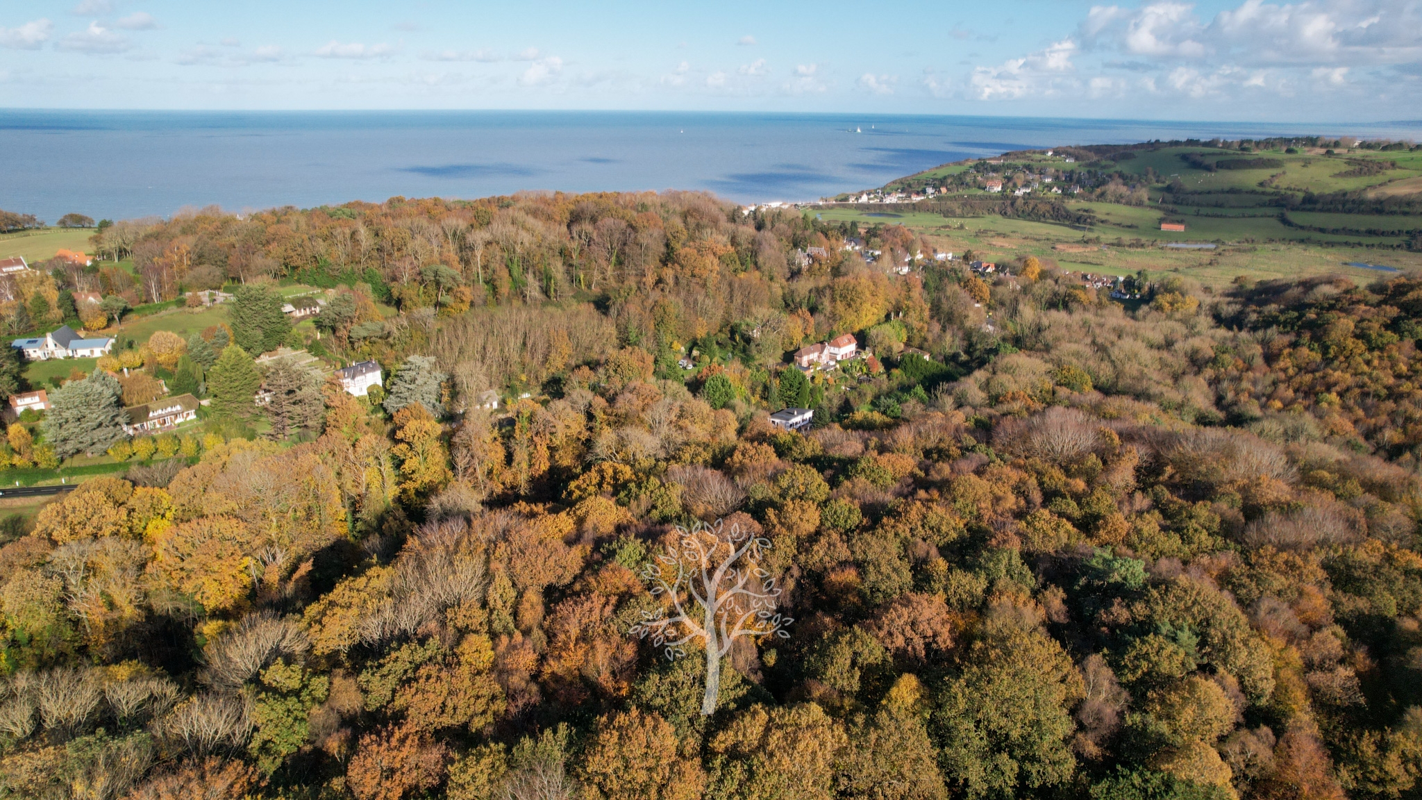 Maison de maçon à vendre à Pourville avec 3ha de bois