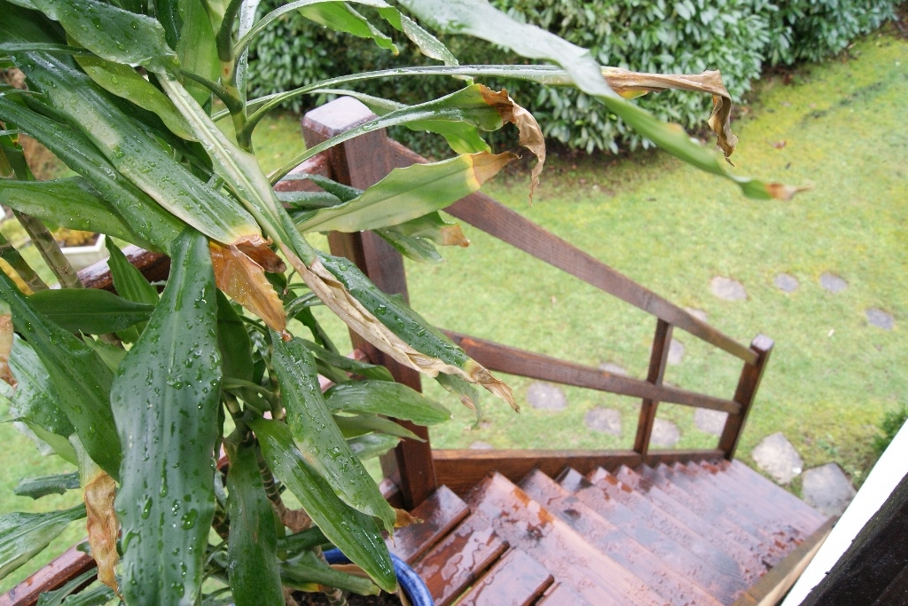 Propriété de charme dans village classé Lyons la Forêt