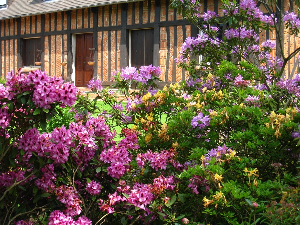 Vendu Longère normande de caractère Dieppe 76 Vallée de la Varenne 4670