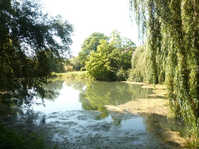 Vendu Très grande maison de famille Etangs Rivière Prairies 80 Baie de Somme 4739