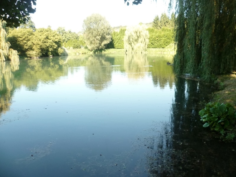 Vendu Très grande maison de famille Etangs Rivière Prairies 80 Baie de Somme 4739