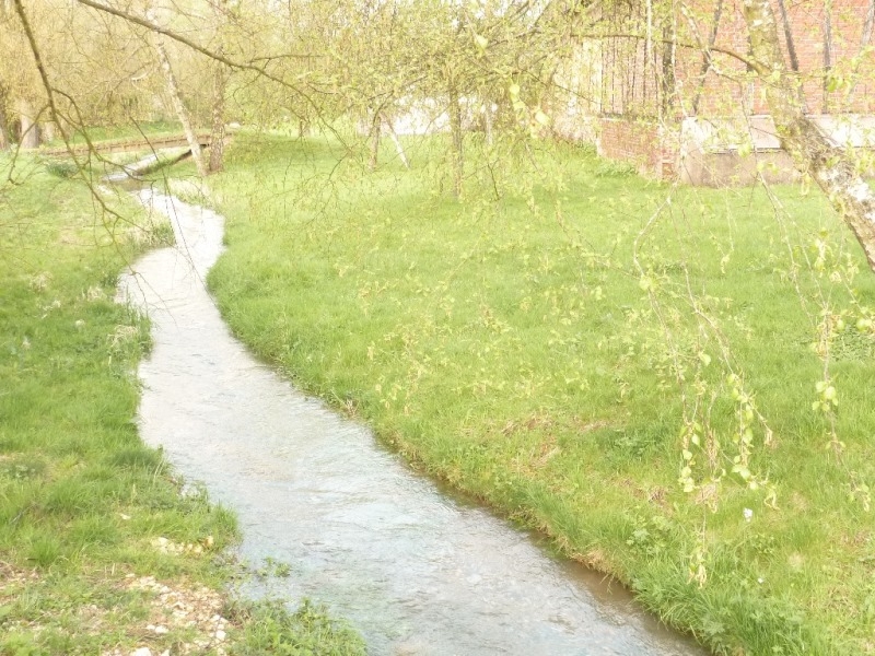 Vendu Manoir XVIème Gentilhommière avec dépendance  Chevaux en Normandie 4606
