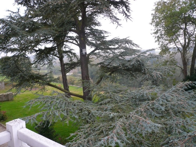 VENDU Manoir Anglo-Normand 76 Côte d'Albâtre