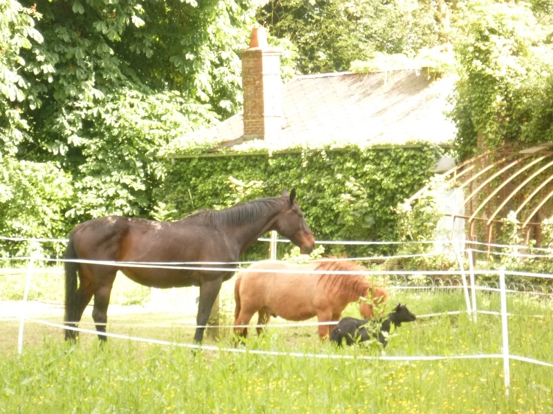 Vendu Propriété de caractère  2 hectares Vallée de Seine