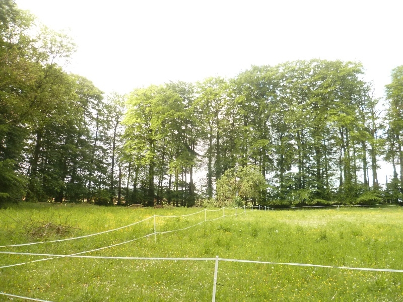 Vendu Propriété de caractère  2 hectares Vallée de Seine