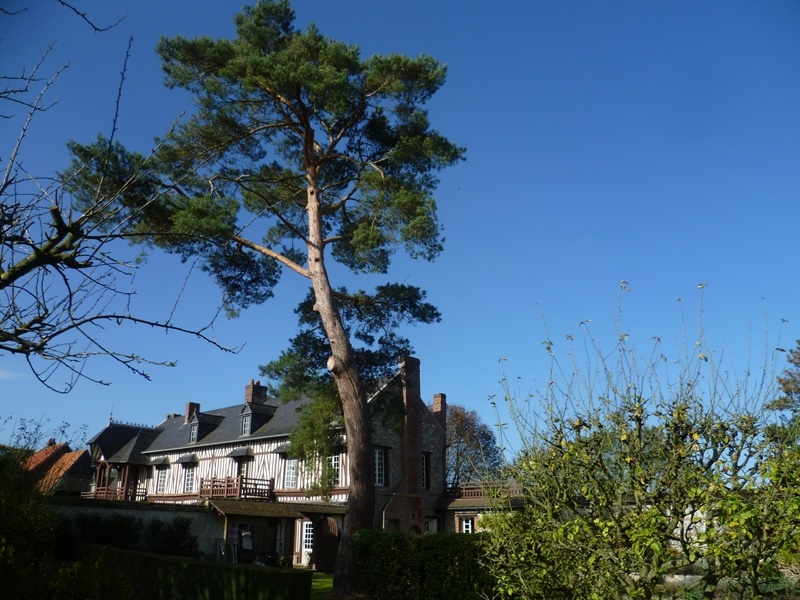 Style Anglonormand pour cette Demeure de caractère en Normandie