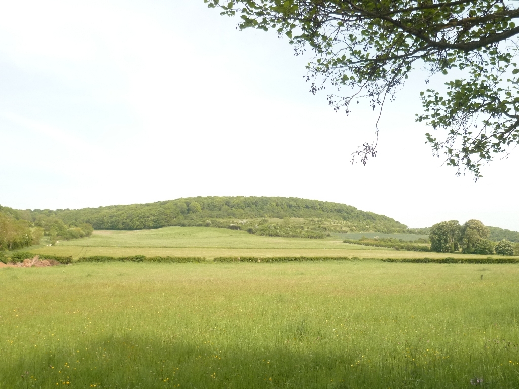 Vendu Chaumière de caractère proche Eu 76 Normandie 4707
