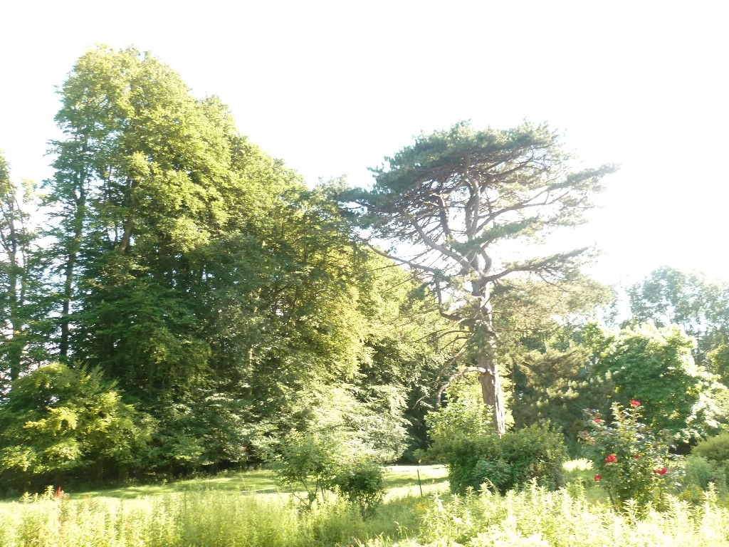 Vendu Château XIXème Deux dépendances Prairies en Normandie 4804