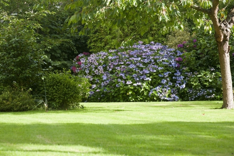 VENDU Maison normande Veules les Roses Normandie