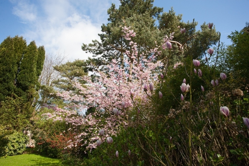 VENDU Maison normande Veules les Roses Normandie