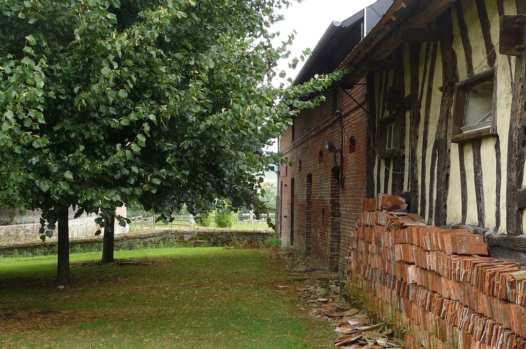 Vendu Propriété équestre ancien corps de ferme Neufchâtel en Bray 4710