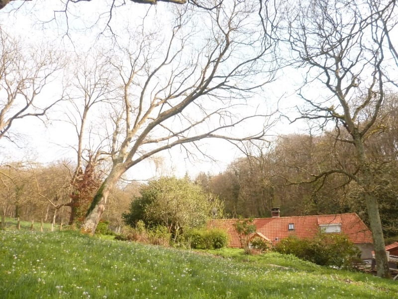 Longère normande Campagne du Pays de Caux 4668