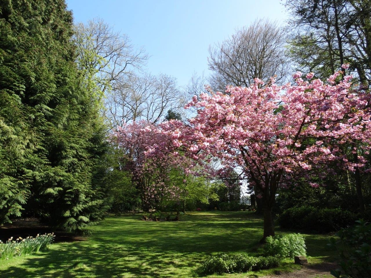 VENDU Maison de maître Nombreuses dépendances 76 Pays de Caux