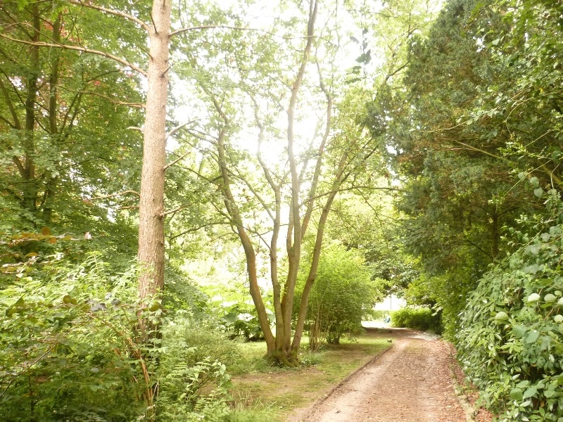 VENDU Maison de maître Nombreuses dépendances 76 Pays de Caux