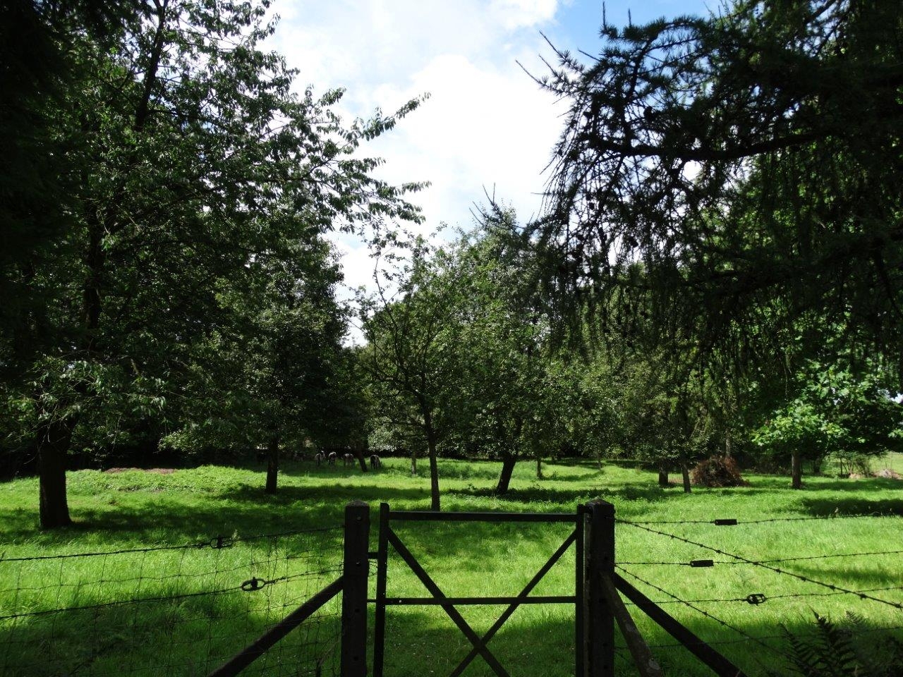 VENDU Maison de maître Nombreuses dépendances 76 Pays de Caux