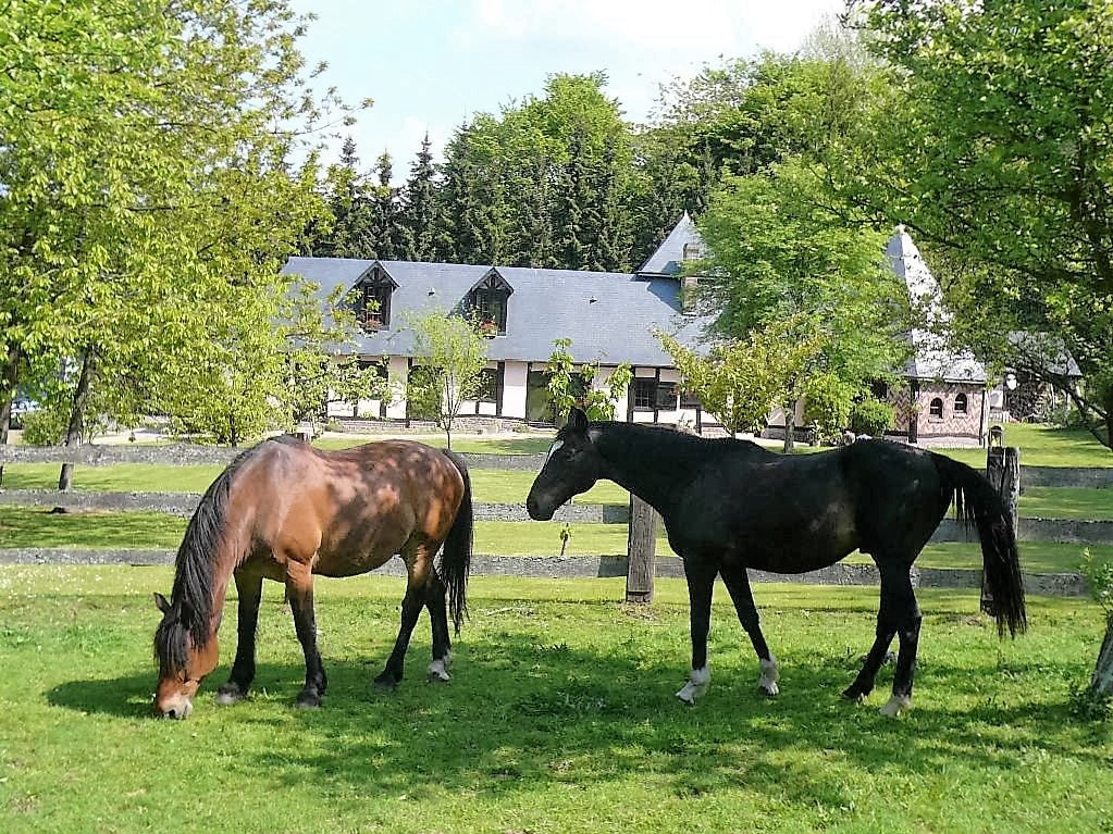 VENDU Propriété équestre en vente Fermette de la campagne du Pays de Bray