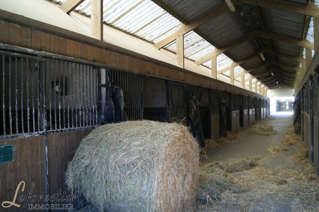 Centre équestre 19 ha en vente bel investissement dans la région de Forges-Les-Eaux à la frontière de la Normandie et des Hauts de France