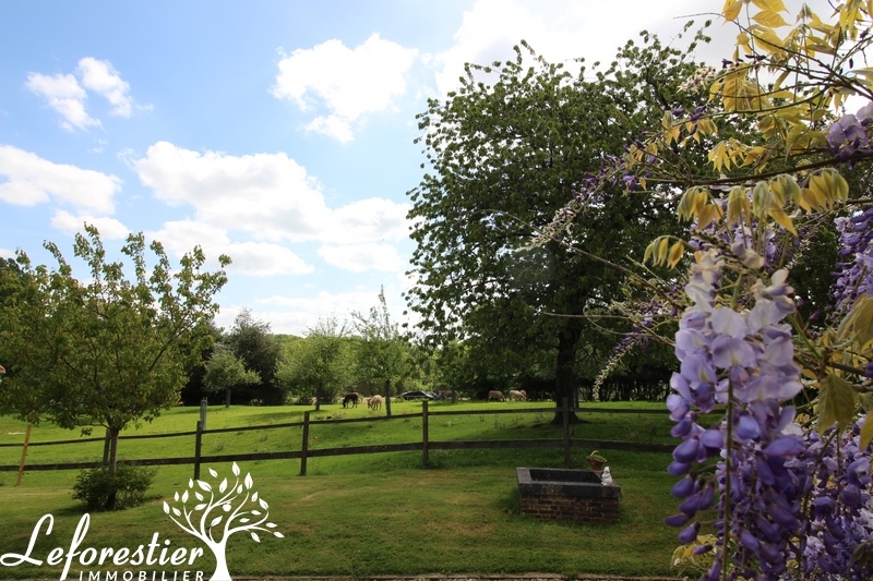 Demeure de caractère à vendre en Normandie - Neufchâtel en Bray